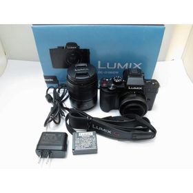 パナソニック Panasonic ミラーレス一眼 LUMIX DC-G100DW