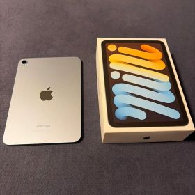 Apple iPad mini ブルー 本体 256GB 美品 100%