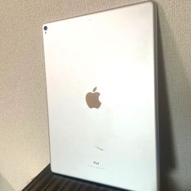 美品 iPad Pro 12.9 第2世代 256GB Apple Pencil