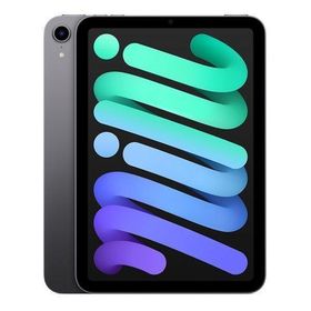 iPad mini 8.3インチ Wi-Fi 128GB 2024年秋モデル MXN63J/A [スペースグレイ]