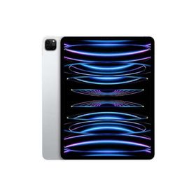 美品 iPad Pro 11インチ 第4世代 WiFi版 128GB シルバー色