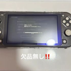 Nintendo Switch Lite グレー 欠品無し