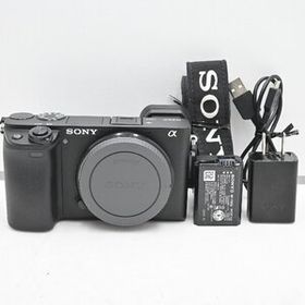 ショット数『1909』SONY(ソニー) APS-C ミラーレス一眼カメラ α6400 ボディ