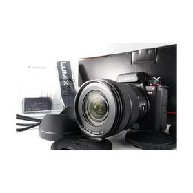 パナソニック(Panasonic) パナソニック フルサイズミラーレス一眼カメラ S5M2K 標準ズームレンズキット ブラック DC-S5M2K