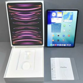 元箱付！Apple アップル iPad Pro 12.9インチ 第6世代 Wi-Fi 128GB MNXP3J/A スペースグレイ
