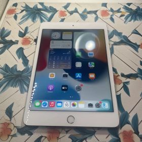 30-iPadmini 4 16GB
