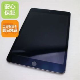 超美品 iPad mini 4 Wi-Fi 16GB スペースグレイ 即日発送 タブレットApple 本体 土日祝発送OK 07000