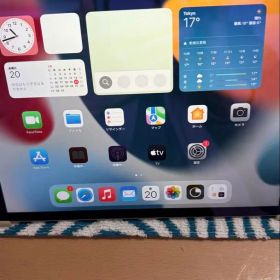 iPad mini 4世代 128GB cellular SIMフリーシルバー