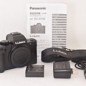 ★美品★ Panasonic パナソニック LUMIX DC-G100 ボディ ミラーレス一眼カメラ 2501821