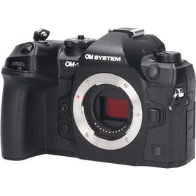 ＯＭ－１ＭＡＲＫ ＩＩ(デジタル一眼)