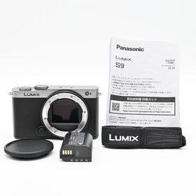 Panasonic LUMIX DC-S9-D ボディ ダークシルバー 極上品