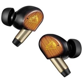 ヘッドホン・イヤホン ヘッドフォン イヤフォン ジェイブイシー WOOD master HA-FW5000T-T 15時まで当日出荷※営業日・入金済