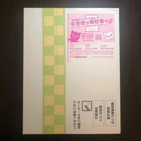 Nintendo Switch2 ぽこ あ ポケモン キーカード版 限定BOX版