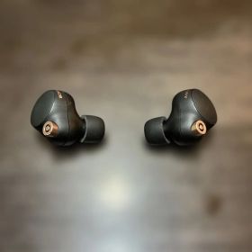 SONY WF-1000XM4 ワイヤレスイヤホン 左右 イヤホン本体