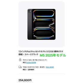 【極美品】iPad Pro M5チップ 13インチ WiFi 512GB(タブレット)