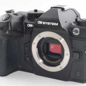 【外観特上級】OM-1 Mark II ボディー