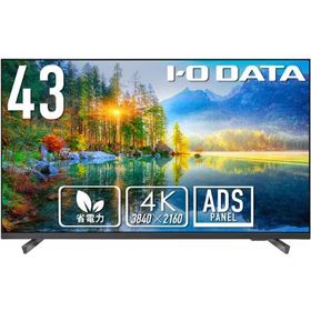 【代引不可】IODATA PCモニター・液晶ディスプレイ LCD-U431DX [43インチ ブラック]