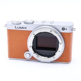《美品》Panasonic LUMIX S9 ボディ DC-S9