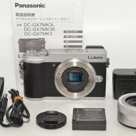 【特上品】 パナソニック Panasonic ルミックス GX7MK3 標準ズームレンズキット シルバー DC-GX7MK3K-S ＃9011