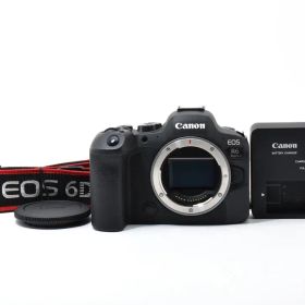 ■極上品■ キヤノン EOS R6 Mark II #C924