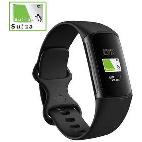 Fitbit Fitbit Charge 6