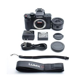 パナソニック 小型・軽量ミラーレス一眼カメラ ルミックス 標準ズームレンズキット ブラック DC-G100DK-K