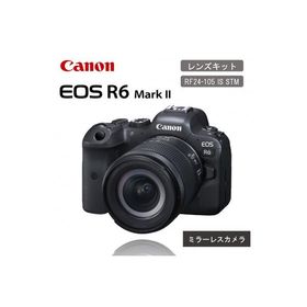 ふるさと納税 国東市 キヤノンミラーレスカメラEOS R6MarkII RF24-105IS STMレンズキット_0037C