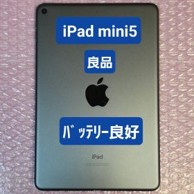 良品 Apple iPad mini5 バッテリー良好 Wi-Fiモデル