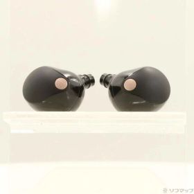 【中古】SONY(ソニー) WF-1000XM5 ブラック 【198-ud】