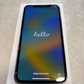 Apple iPhoneX 256GB スペースグレー
