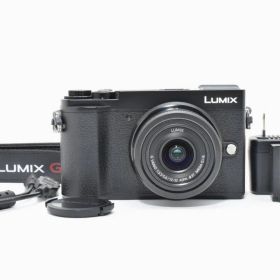 ★極上美品★パナソニック Panasonic LUMIX GX7 Mark III 標準ズームレンズキット DC-GX7MK3K ブラック★ YMA9799＃93