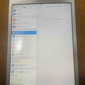 iPad mini （第一世代）(タブレット)