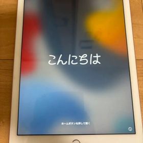 【シャッター音なし】iPad Pro2016年(9.7インチ)