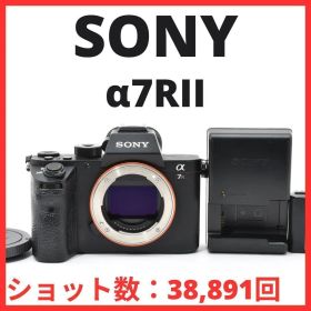 C07[7410]60 ソニー SONY α7RII ボディ ILCE-7RM2 【ショット数 38，891回】