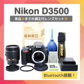入学式に✨Nikon D3500✨ショット数約6514回✨美品✨爆速AF✨