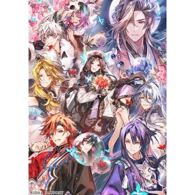 [04月23日発売予約][ニンテンドースイッチ ソフト] マツリカの炯-kEi- 天命華燭伝 特装版 [MKTK-26151] *初回封入特典付