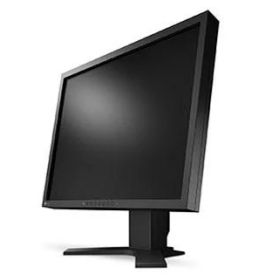 EIZO エイゾ S2134-HGY 21.3型 FlexScan 液晶 1600×1200 D-sub DVI DisplayPort ブラック系