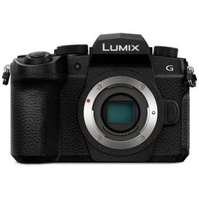 パナソニック Panasonic ミラーレス一眼カメラ LUMIX DC-G99M2 ボディ