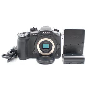 ■シャッター数12187枚！極上品■ PANASONIC GH5S ボディ ブラック DC-GH5S-K ミラーレス一眼カメラ パナソニック