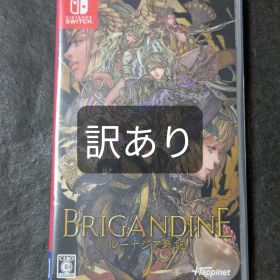 Switch ブリガンダイン ルーナジア戦記 訳あり