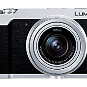 【中古】パナソニック ミラーレス一眼カメラ ルミックス GX7MK2 標準ズームレンズキット シルバー DMC-GX7MK2KS