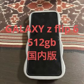 galaxy z flip6 512GB/12GB 国内版