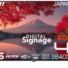 JAPANNEXT｜ジャパンネクスト JN-IPS55UHD-M サイネージ液晶ディスプレイ(55型/IPS(ADS)/4K UHD 3840×2160/60Hz/8ms/HDMI2.0/VESA/2年保