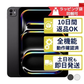 iPad Pro 11インチ M5 256GB APPLE Wi-Fiモデル 中古 Aランク 商品補償100日間 本体