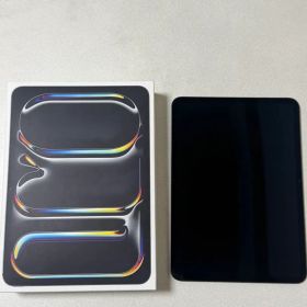 Apple iPad Pro 11インチM4 本体