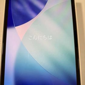 iPad Pro 11インチ M4 256GB スペースブラック