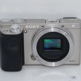 SONY α6000 APS-C ミラーレスカメラ