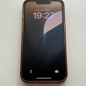 【美品】iPhone 13 Pro 256GB グラファイト