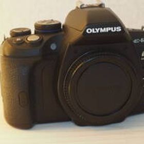 OLYMPUS E-620 動作品