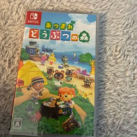 あつまれ どうぶつの森 Nintendo Switch